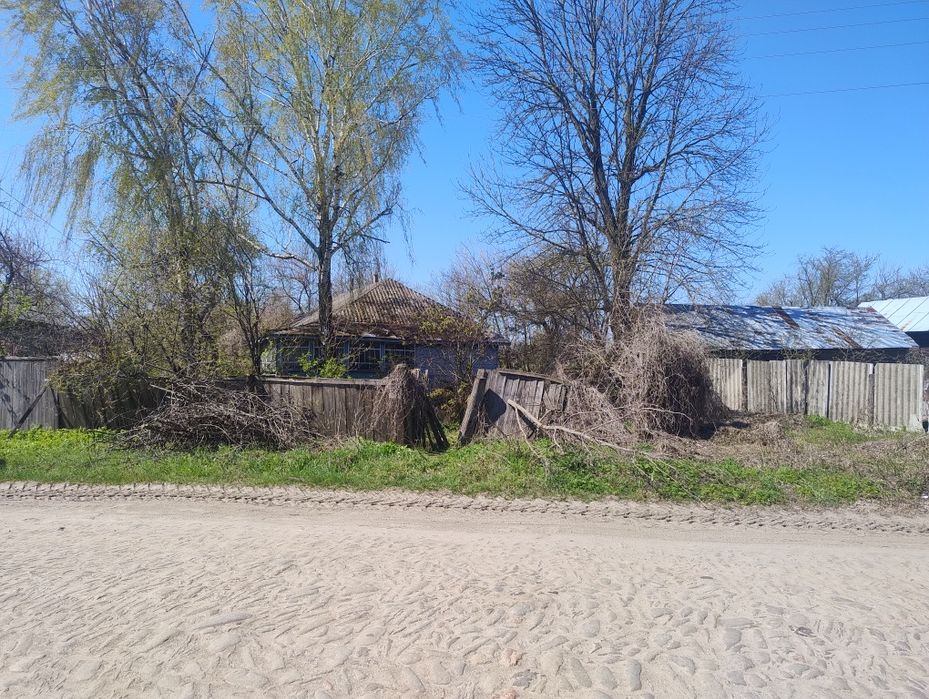 Продам будинок  в селі Чапліївка