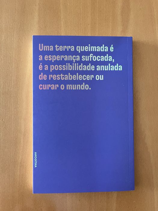 Terra Queimada, da Era Digital ao Mundo Pós-Capitalista