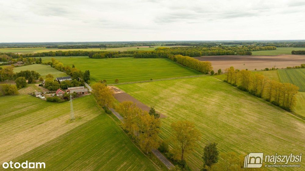 Dąbrowa Nowogardzka-działki z warunkami zabudowy
