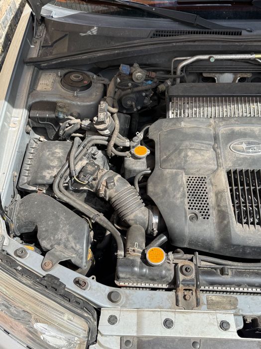 Subaru Forester 2005 2.5T