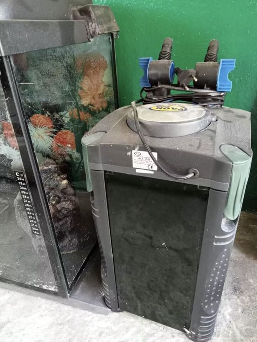 Akwarium 300l.
