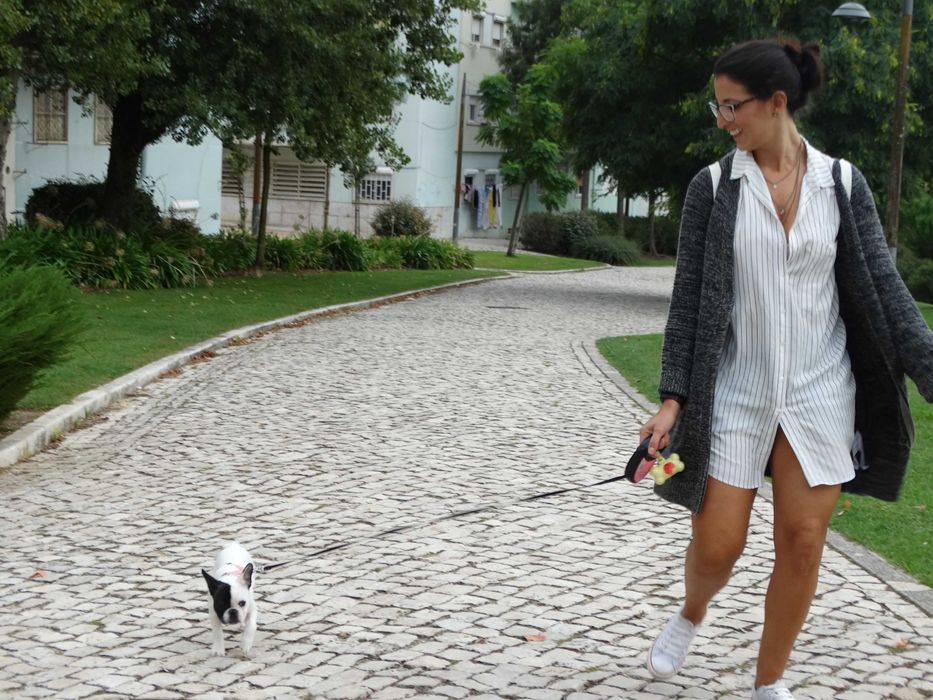 Pet Sitting em Estadia Familiar para animais domésticos Amadora
