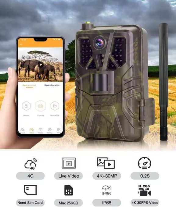 Camara de Caça 4G - Vídeo em Direto