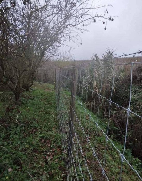 Vedações agrícolas e vinhas
