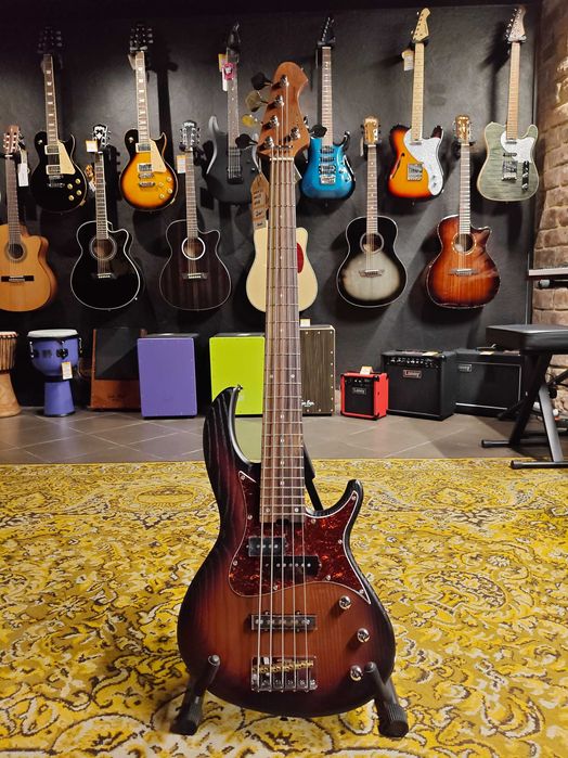 Aria 313 Mk2/5 Detroit OPSB - 5-strunowy bas w przyzwoitej cenie