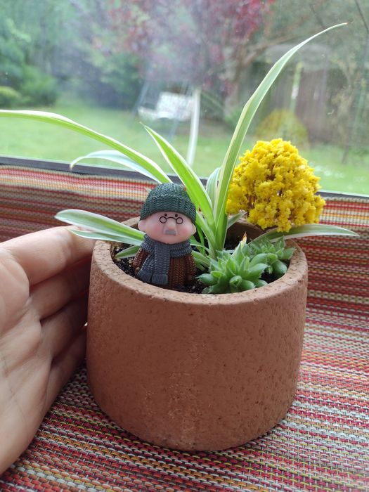 Квіткові композиції