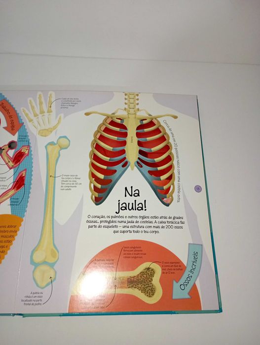 Dentro do Corpo Humano64741109977602124
