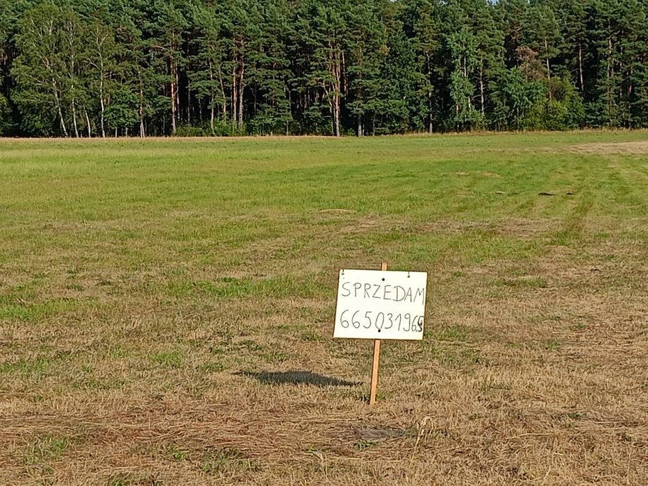 Działka,łaka pole 39 ar