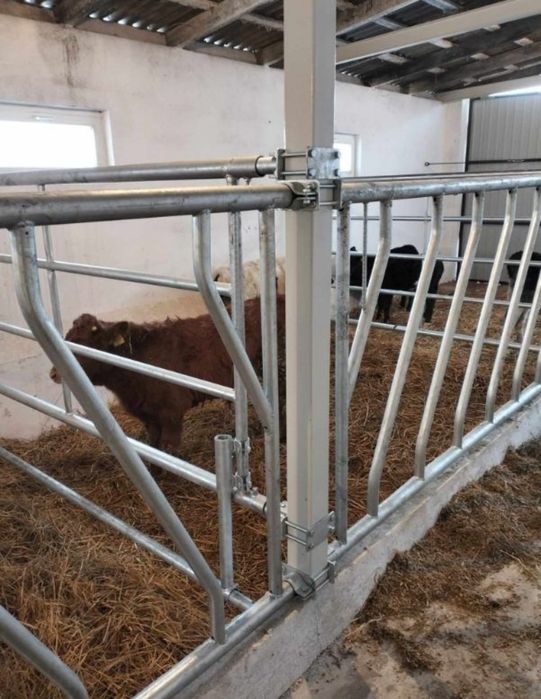 Wygrodzenia dla bydła, drabinka paszowa, konstrukcja