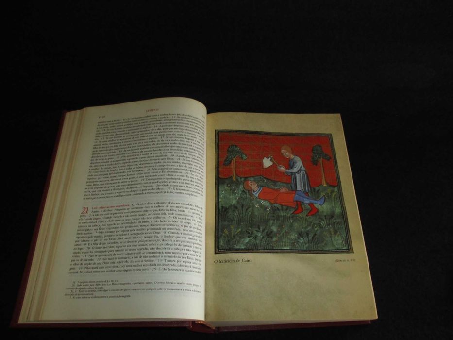 Livro Bíblia Sagrada Edição Comemorativa Verbo