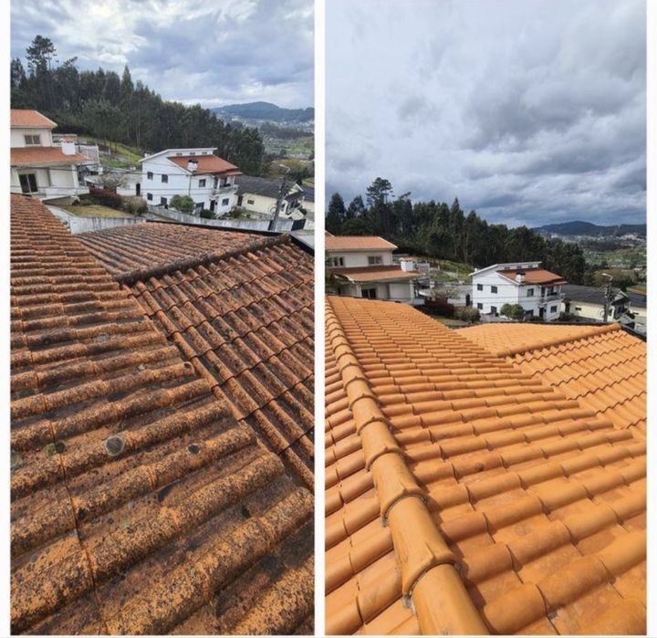 Painting, roof cleaning, and handyman services; painting and renovation services.