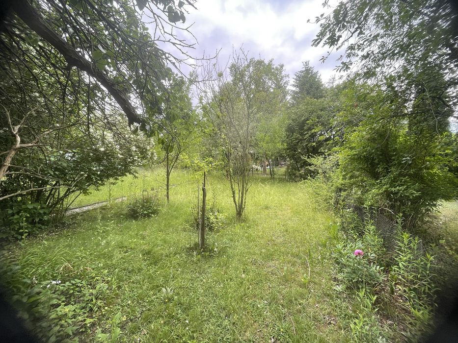 ROD Siekierki 300 m² | Prąd, woda | Owocujące drzewa | 27 000 zł - Więcej
