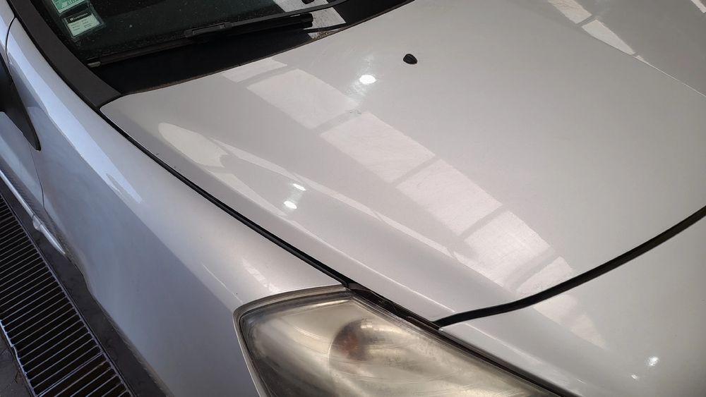 Capot RENAULT Clio III (BR0/1, CR0/1)