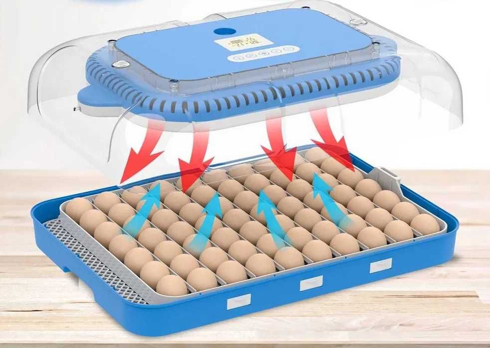 Inkubator do jaj automatyczny z pompą wilgotności OVOstart 70