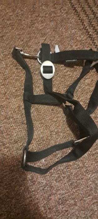 Амуніція для коня