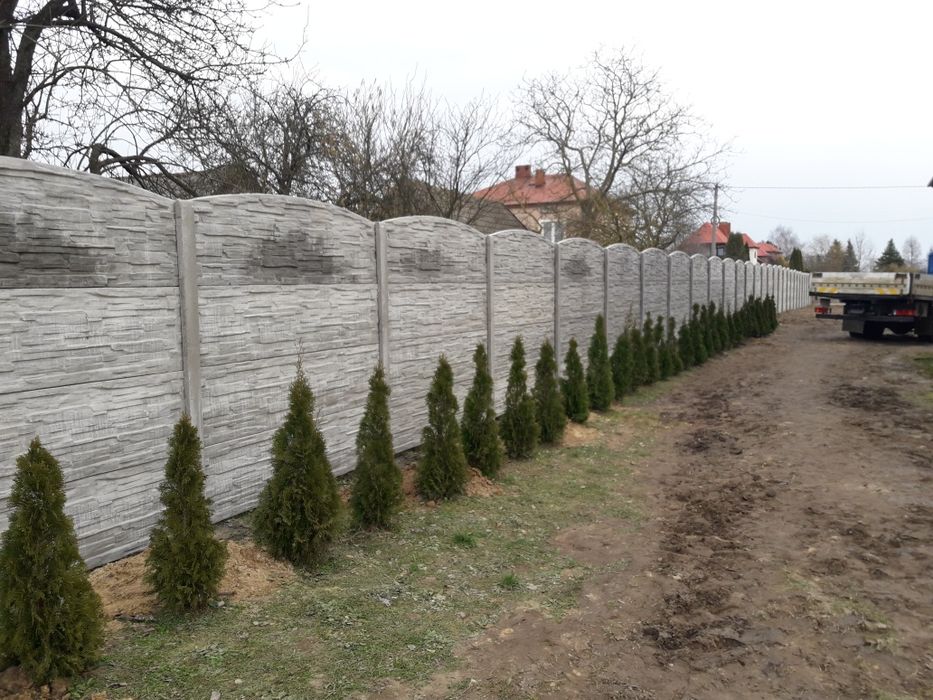 Ogrodzenie betonowe, płyty, słupy