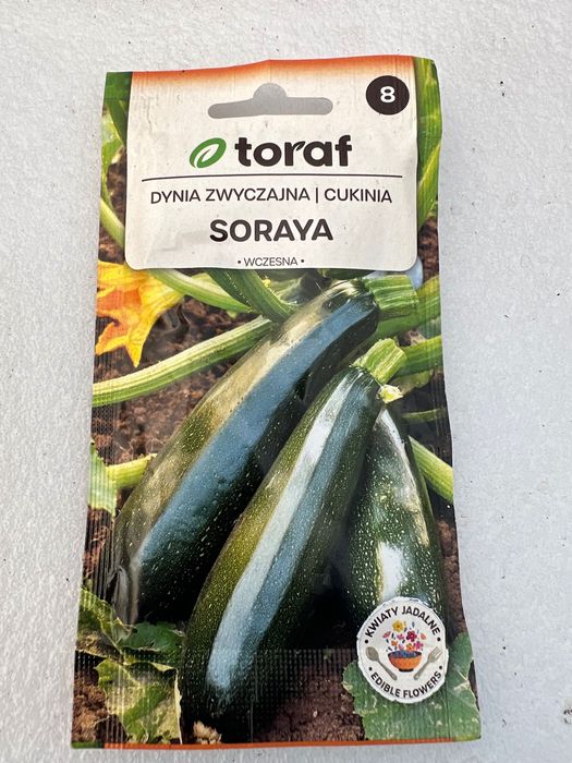 Sadzonka cukinii