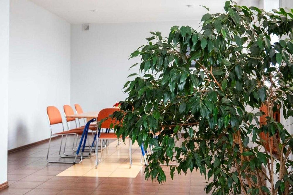 Лучшие Общежития и Хостелы Киева Есть места ! Метро Берестейская