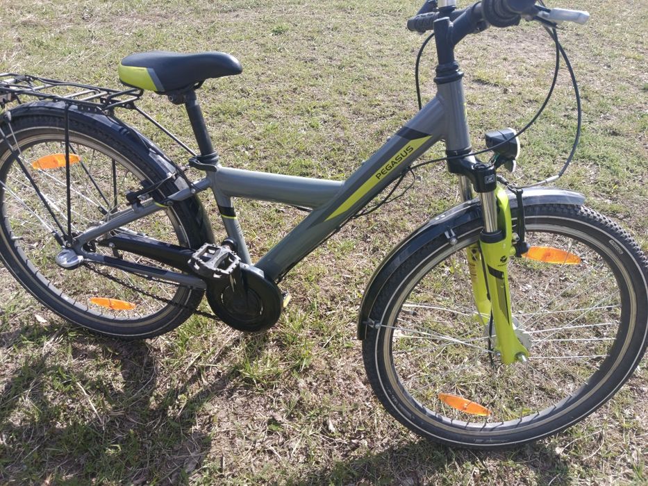 Rower młodzieżowy Pegasus 24"