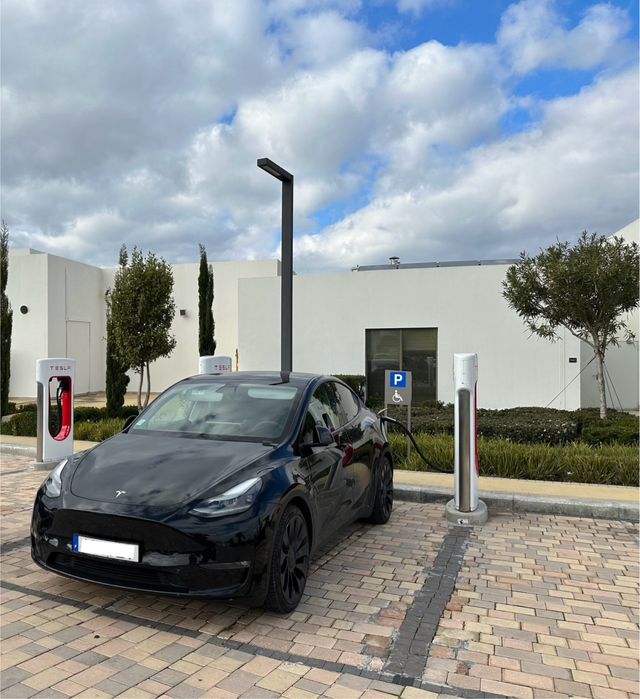 Model Y performance 2022 employee edition