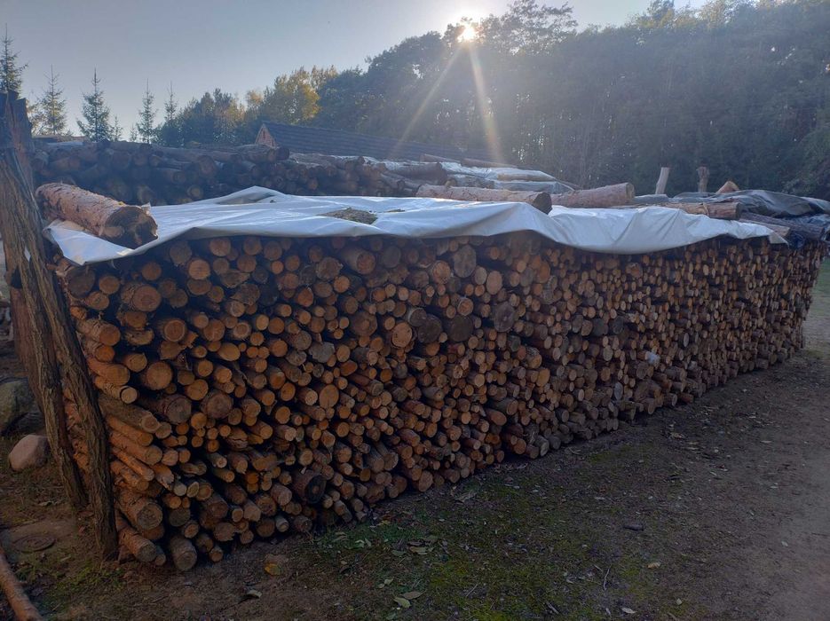 drzewo opalowe sosnowe