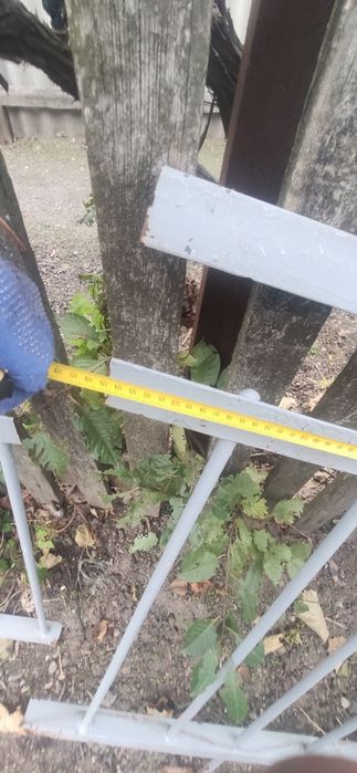 Забор ограждение перило