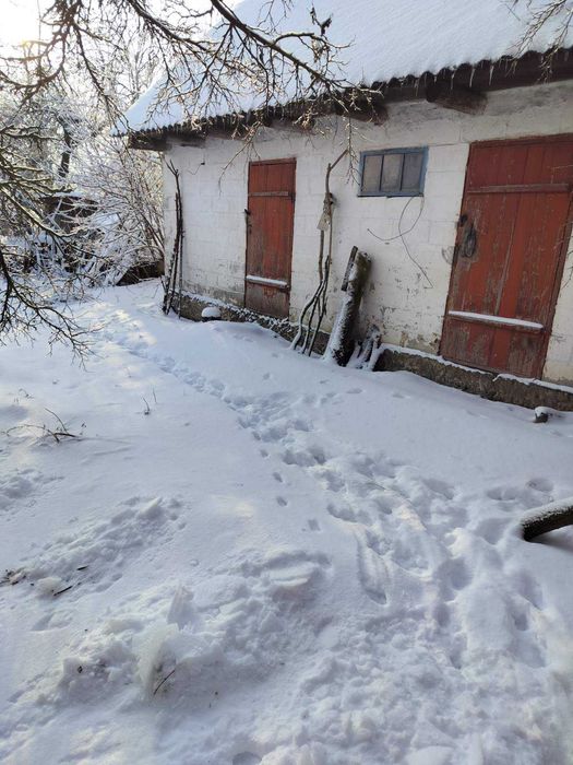Продається будинок, в селі Бишів, Київська область.