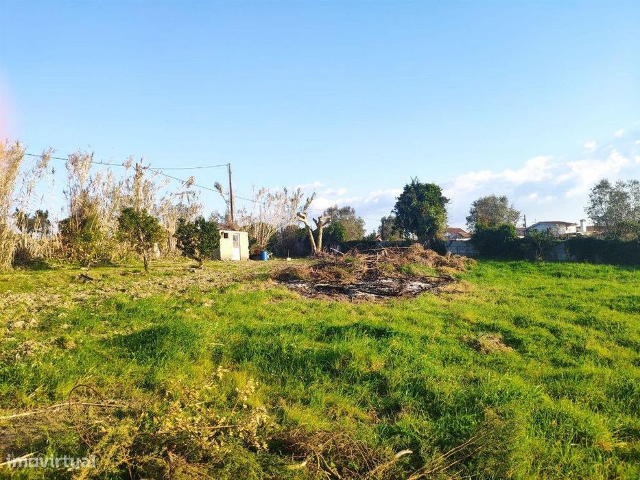 Land for Construction, São Martinho da Árvore