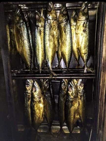 Мини-коптильня + сушильная камера на 10 кг