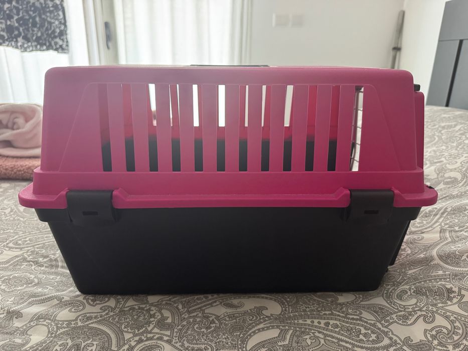 Transportadora pata Gatos