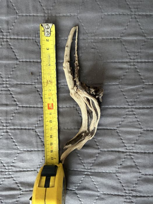 Ozdoby do akwarium, kamienie i korzenie