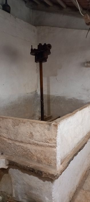 Lagar para vinho