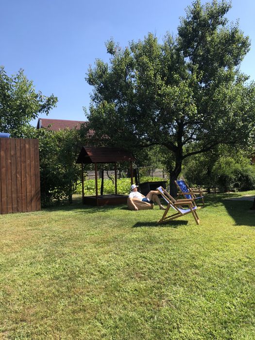 Аренда дома в лесу посуточно