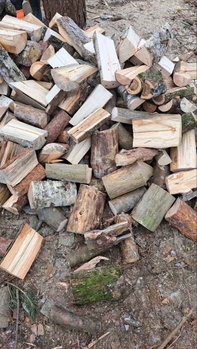 Drewno kominkowe/ opałowe