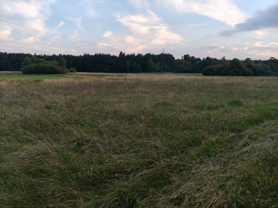 Działka budowlana 2149 m² z decyzją WZ • Basinów • Gmina Zabrodzie - Widok 5