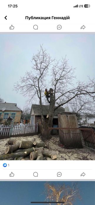 Зрізання аварійних дерев.Порізка на дрова .Подрібнення гілля.