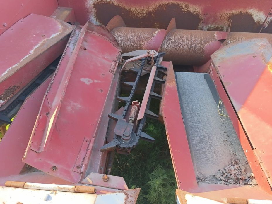 Жниварка соняшникова