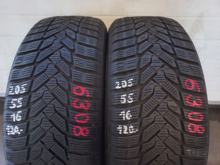 Opony zimowe Nexen 205/55/16 91H