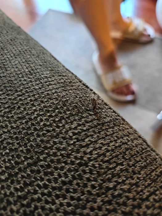 Conjunto de cadeiras de jantar