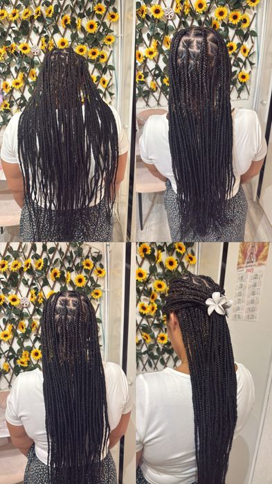 Trancas africana