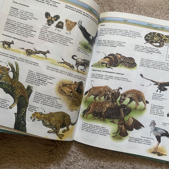 Комплект книг детские энциклопедии Живой мир и Все о планете Земля