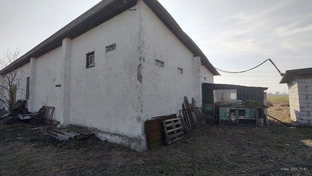 Ферма Свиноферма Скотарство Зерносхови Цех Броварський 600квм 70сот