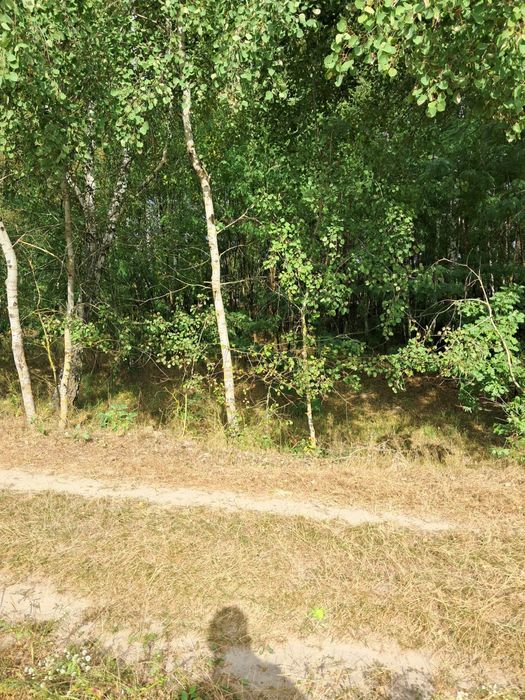 Działki pod zabudowe 31a + 35a – další