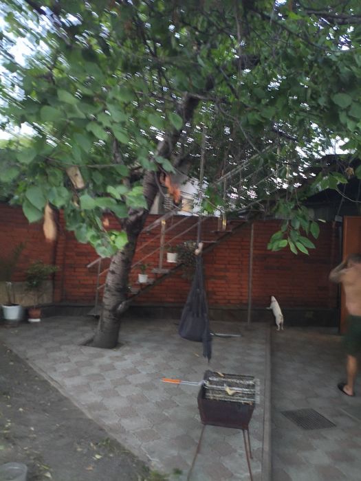 Дом по адресу (площадь 70 м²) - Atlanta.ua - фото 6