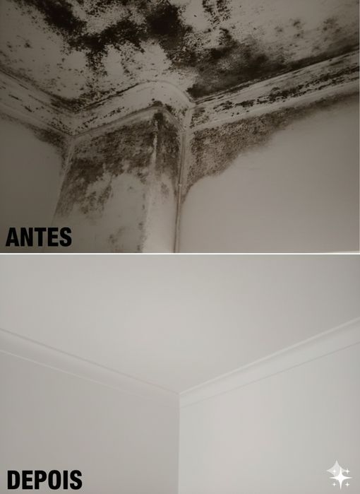 Pinturas, Tratamento de Bolor e Telhados - Margem Sul / Lisboa