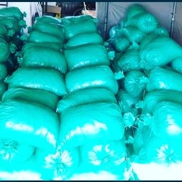 Eko groszek plus  1400zł węgiel hurt detal