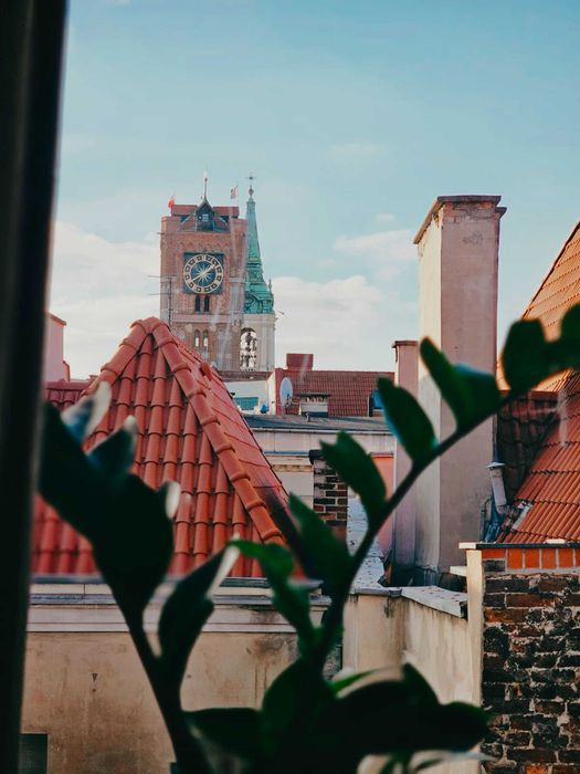 NOWY Apartament - Stare Miasto - Widok na ratusz -  - TELEFON: 572-527-525