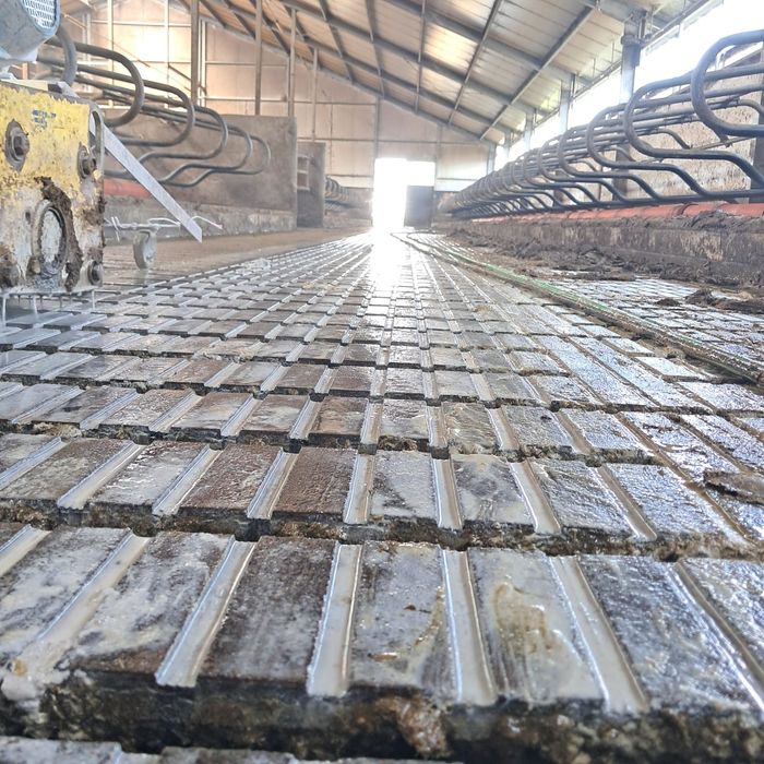 Nacinanie posadzek oraz ruszt betonowych, frezowanie obory, obora.