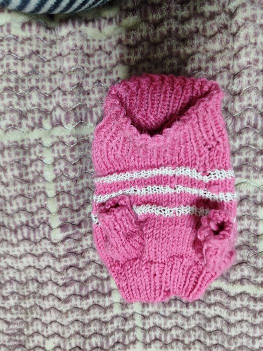 Одяг для маленької собачки, той,, Йорк, або цуценя