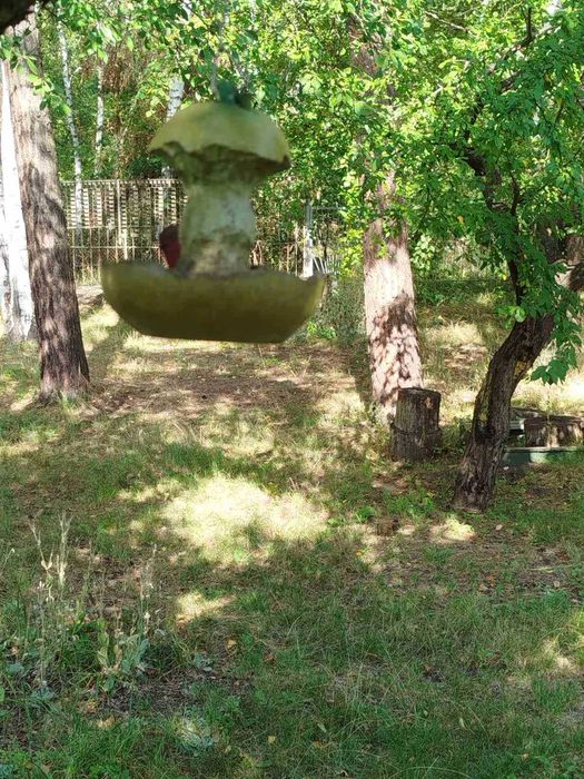 Своя дача в хорошем месте под Харьковом